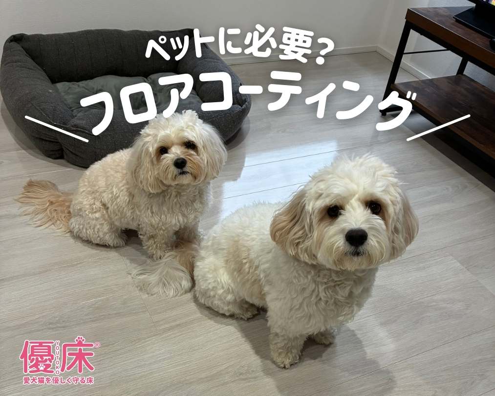 ペットがいるフロアコーティングの必要性