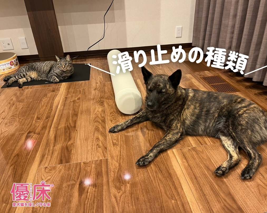 フローリングの滑り止めの種類は？犬や猫などのペットも安心の対策法