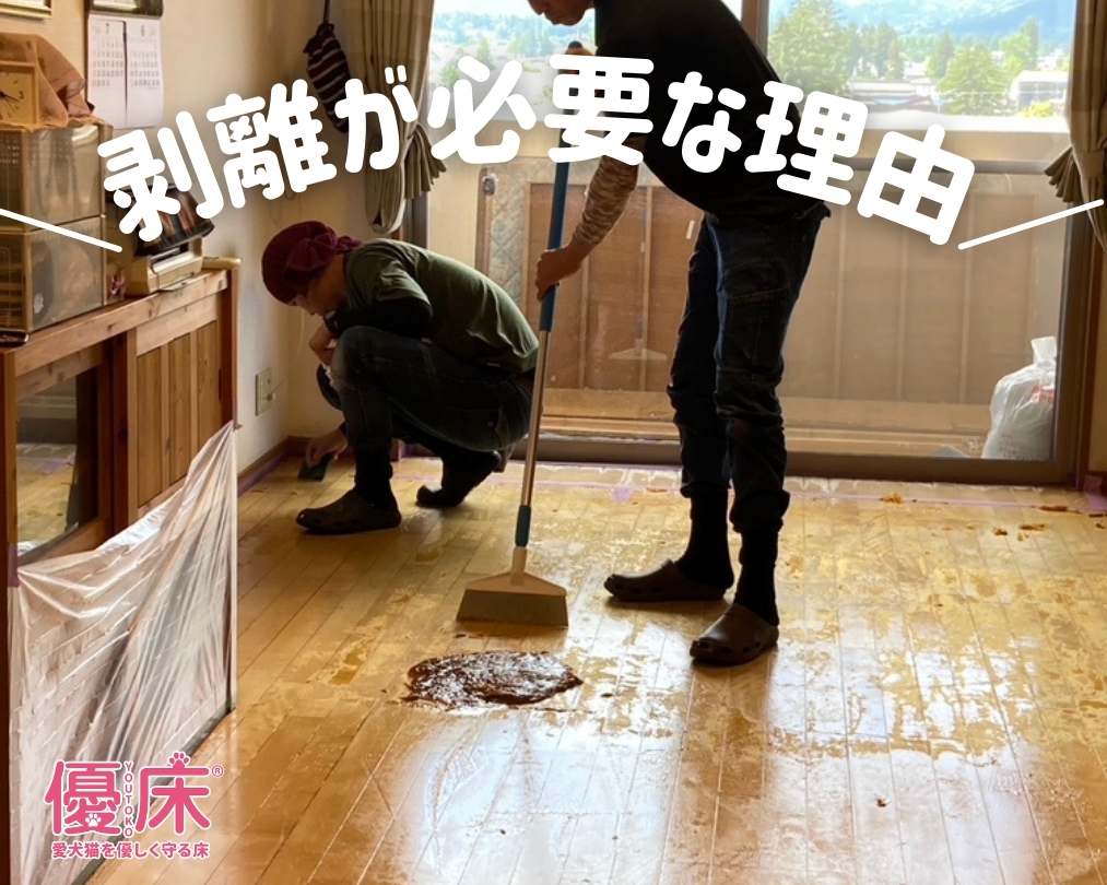 ペットがいる家庭でフローリングワックスの床剥離が必要な理由