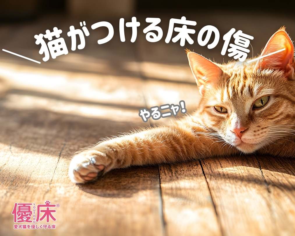 猫がつける傷を防止したい！床やドア・壁紙などをボロボロにしないためには
