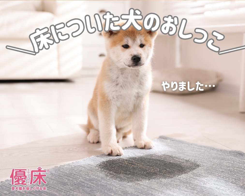 床についた犬のおしっこの臭いはどうやって消したらいい？