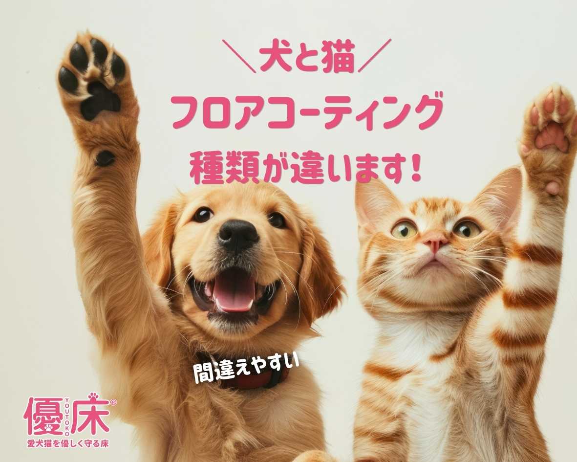 犬用猫用のフロアコーティングは違います