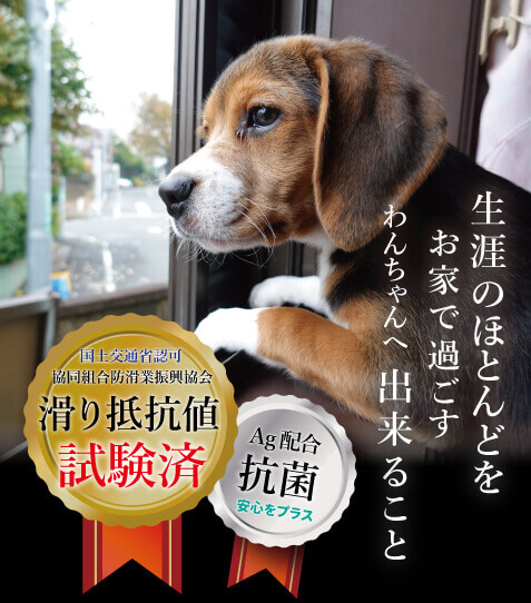 生涯のほとんどを家の中で過ごす犬スマホ表示