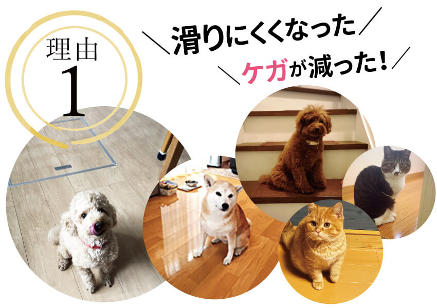 ペット用が選ばれる理由1は愛犬が滑らない