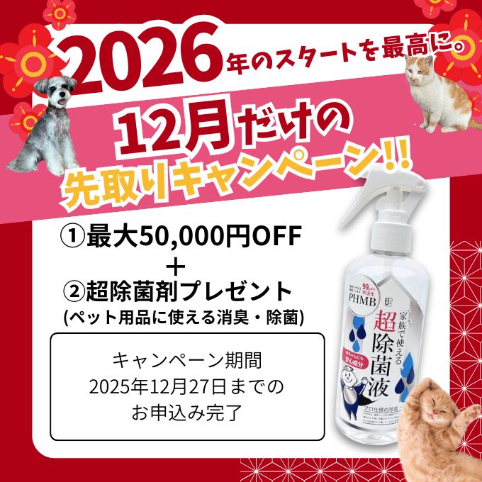 優床キャンペーン