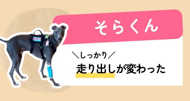 優床施工済の仲間そらくん