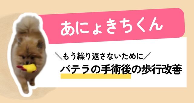 優床施工済の仲間あにょきちくん