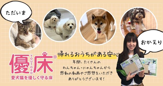 愛犬家住宅コーディネーター