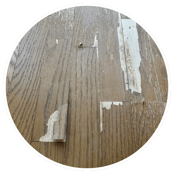 愛犬、愛猫によるフローリングの傷