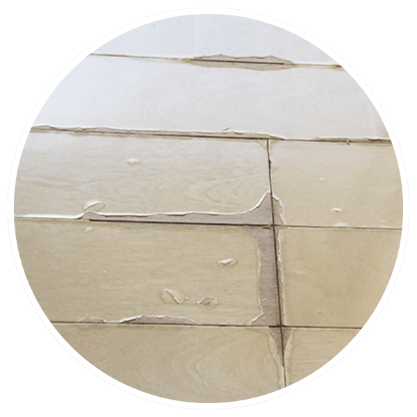 愛犬のおしっこの染み込みによる床の剥がれ