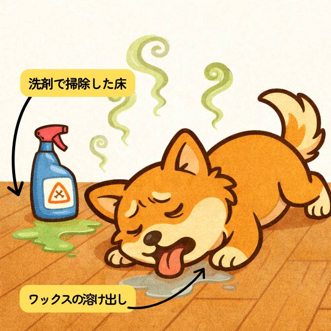 床をなめて腹痛を起こした犬