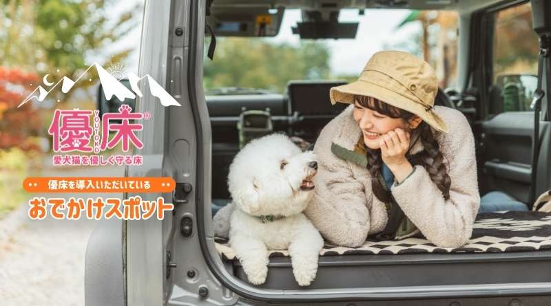 ペット向けフロアコーティングしてあるペット施設